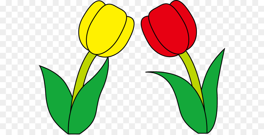 Tulip，Flor PNG