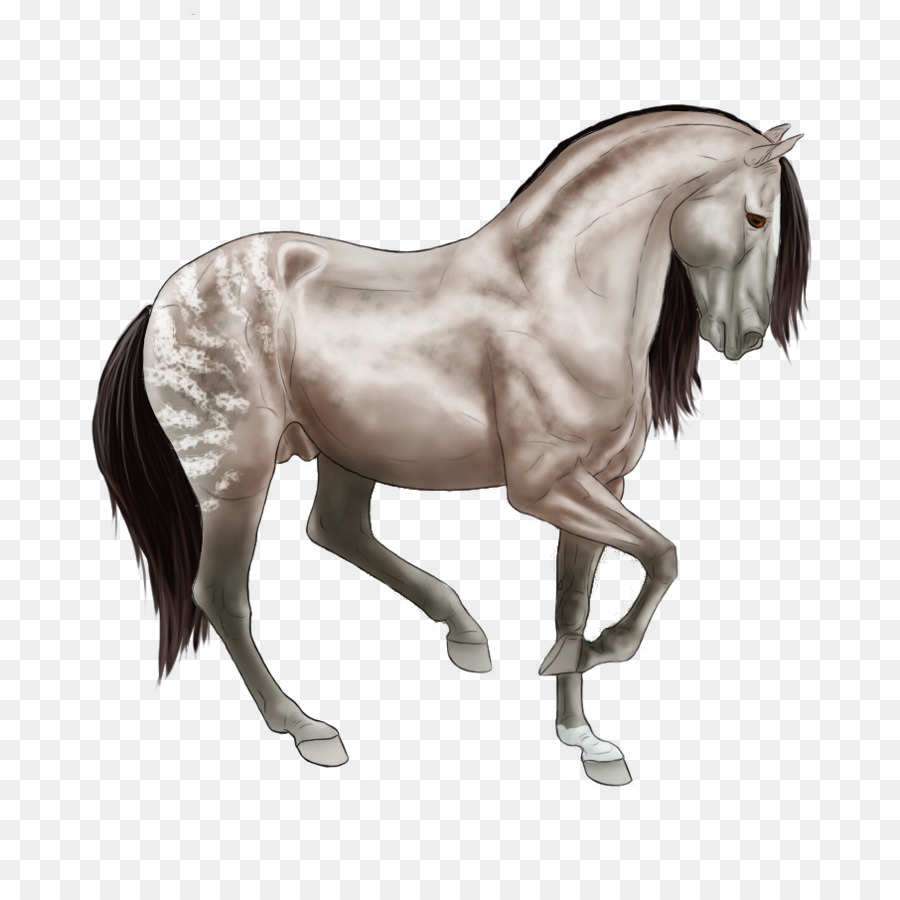 Cavalo，Equino PNG