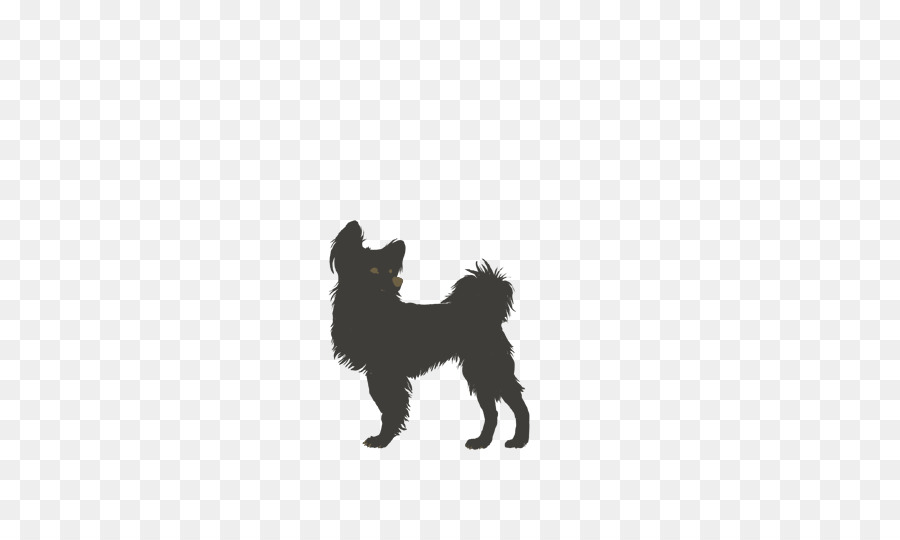 Affenpinscher，Filhote De Cachorro PNG