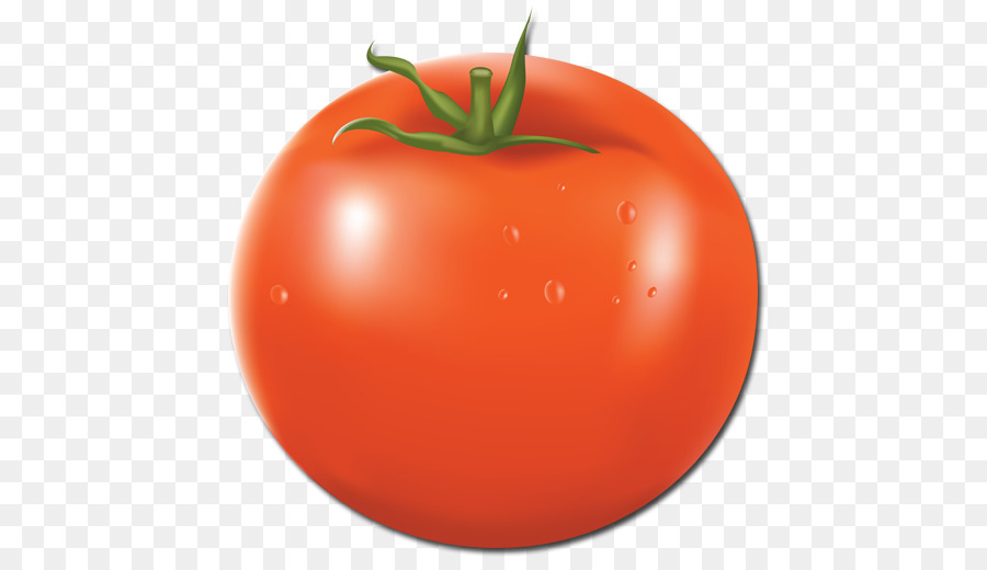 Ameixa Tomate，Bush Tomate PNG