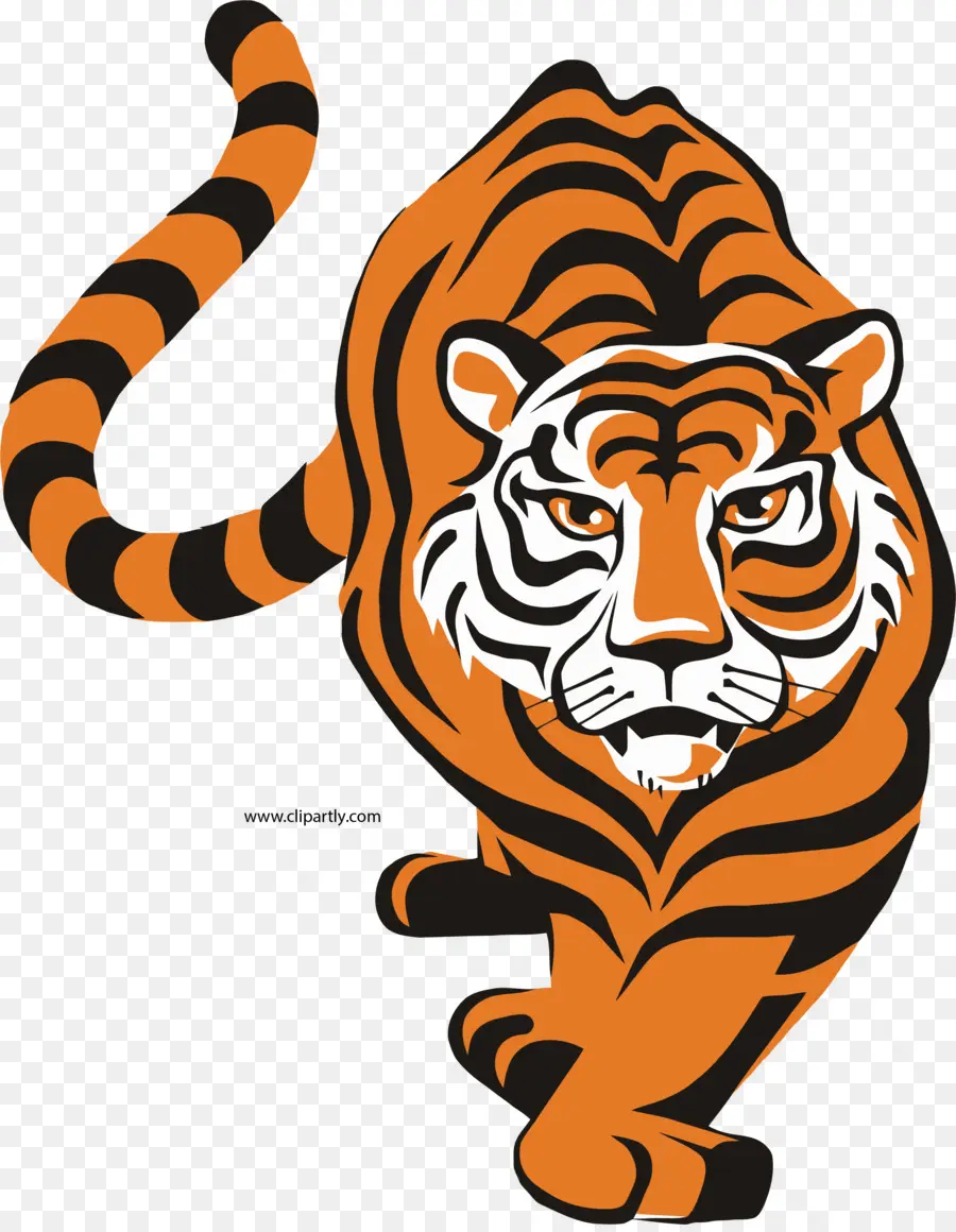 Logo，Tigre De Bengala PNG