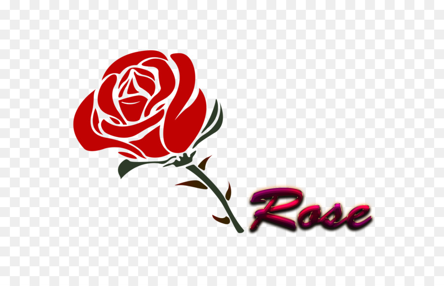 Rosa，Flor PNG