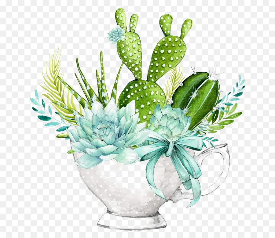Suculenta Planta，Cactus PNG