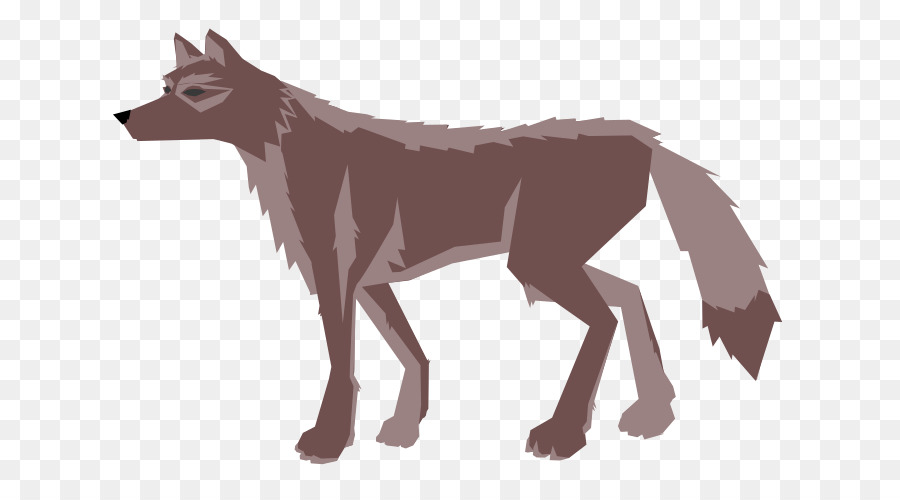 Cachorro，Coyote PNG