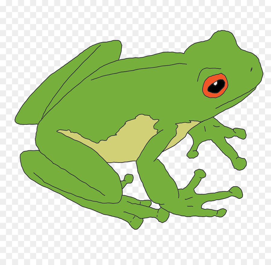 Sapo，Toad PNG