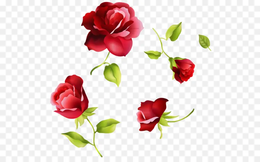 Rosas Vermelhas，Florescer PNG