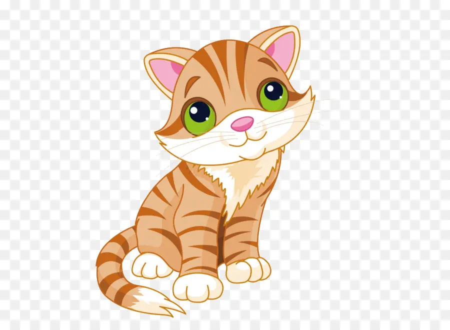 Gato Fofo，Gatinho PNG