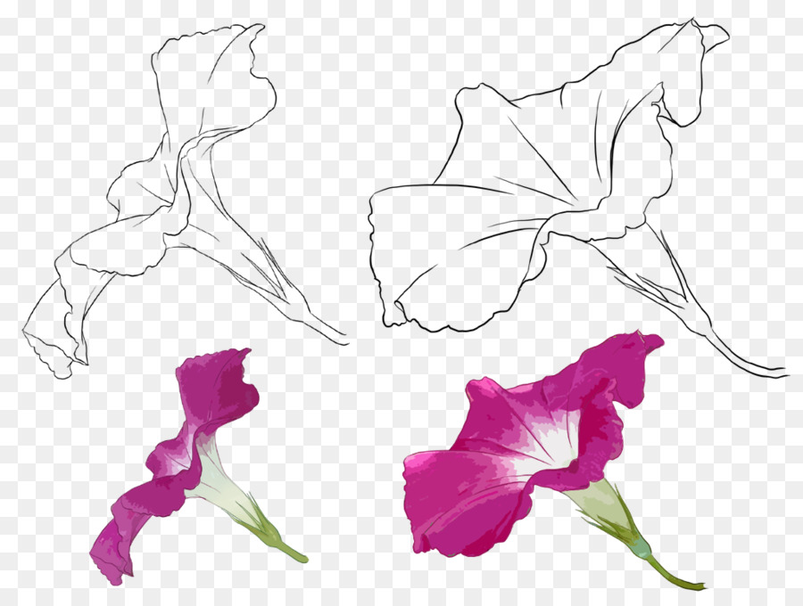 Design Floral，Desenho PNG