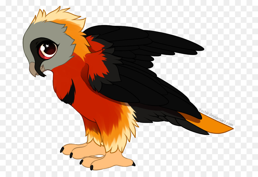 Papagaio，Aves PNG