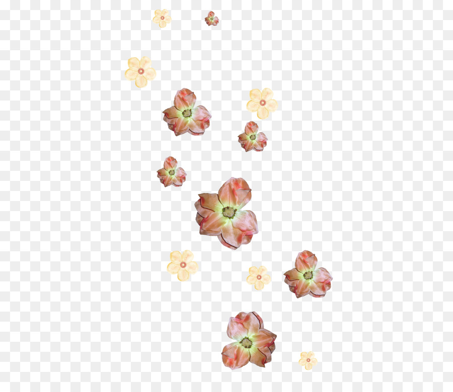 Flor，Blog PNG