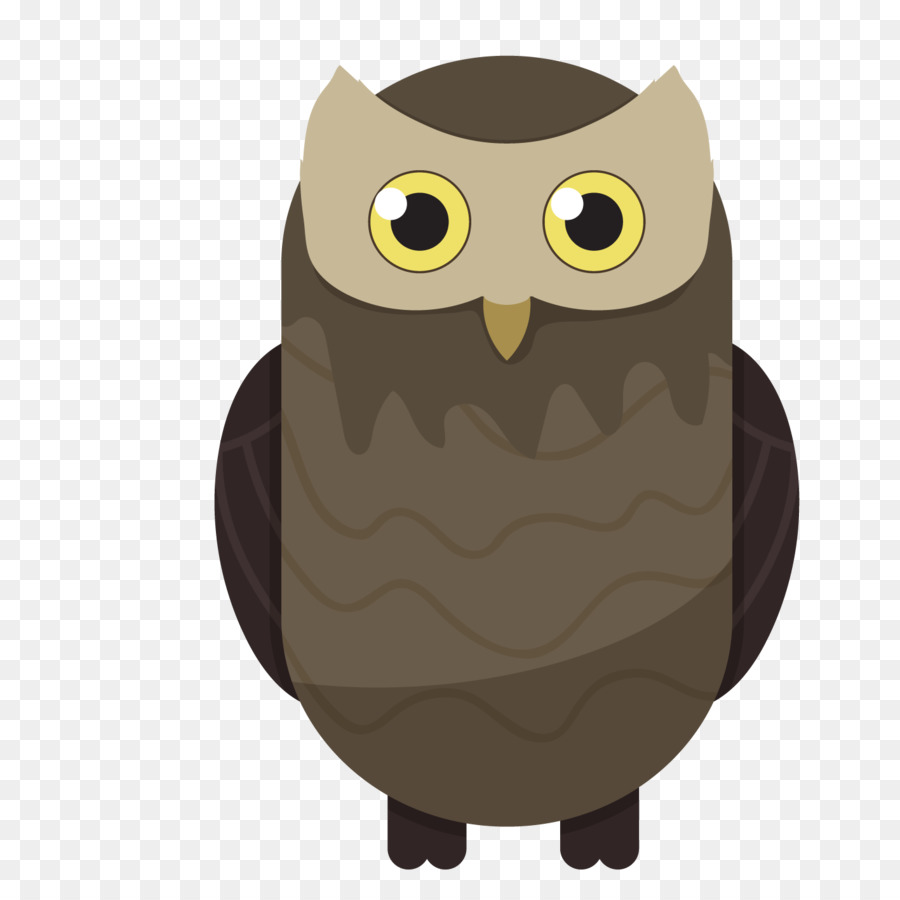 Coruja，Aves PNG