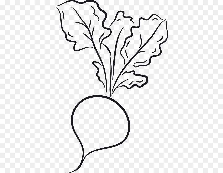 Desenho，Vegetal PNG