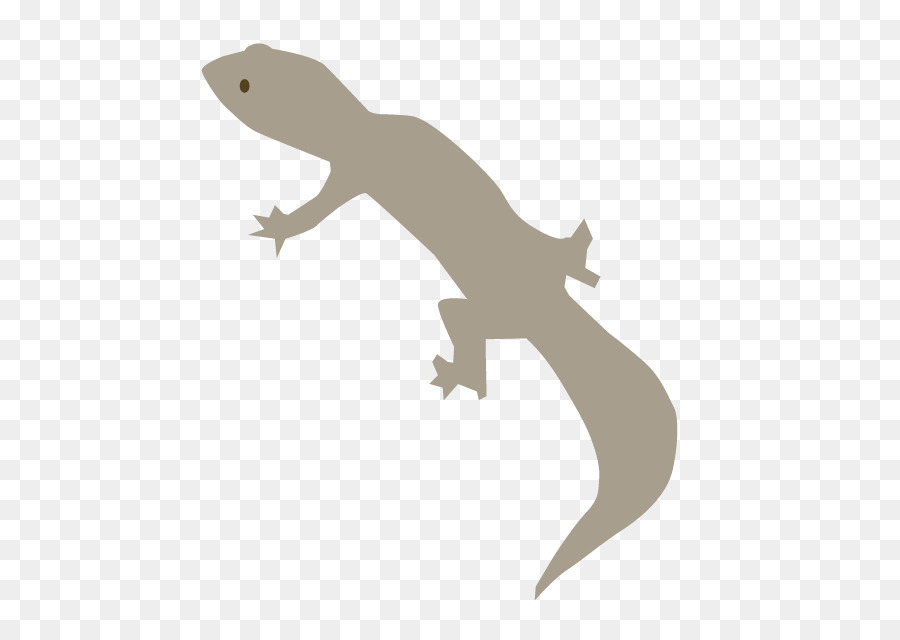 Newt，Cartoon PNG