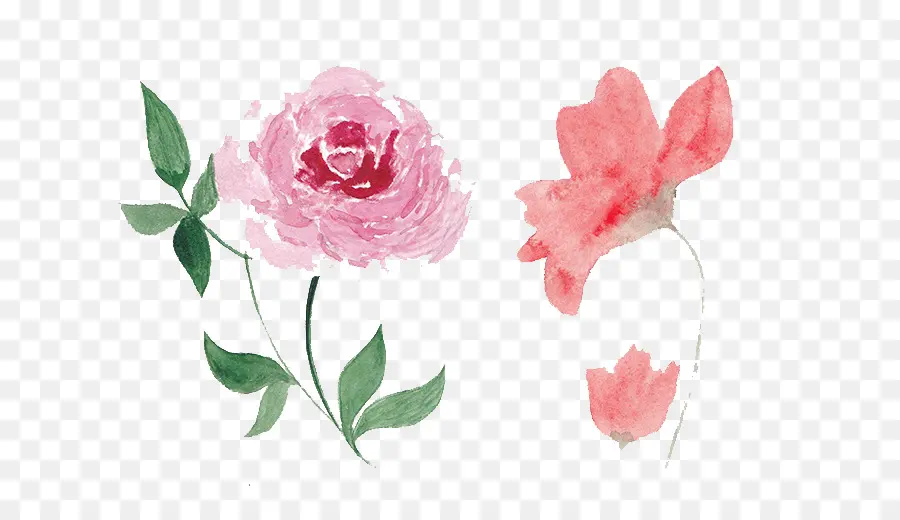 Aquarela Flores，Pintura Em Aquarela PNG