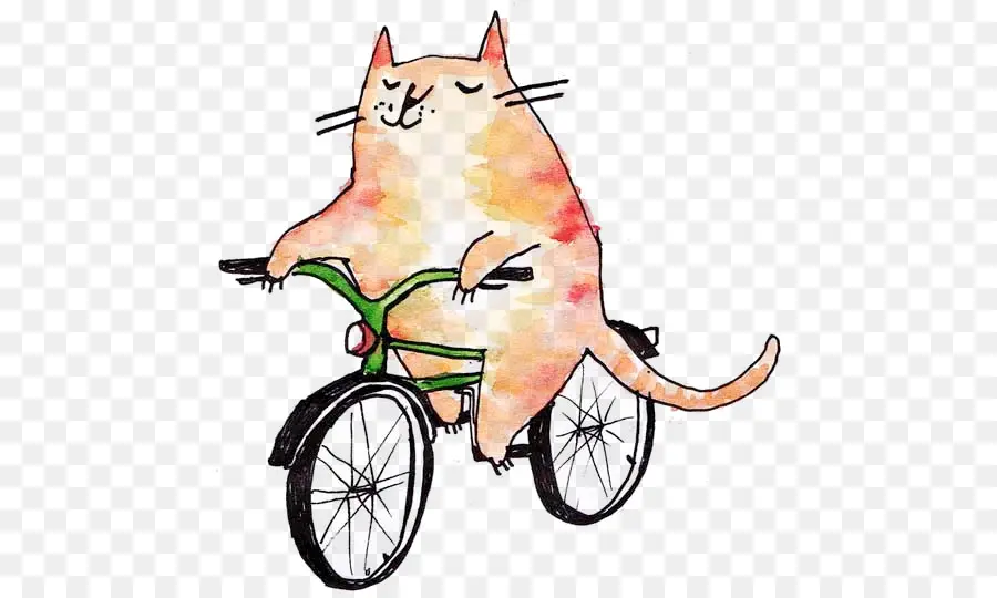 Gato，Bicicleta PNG