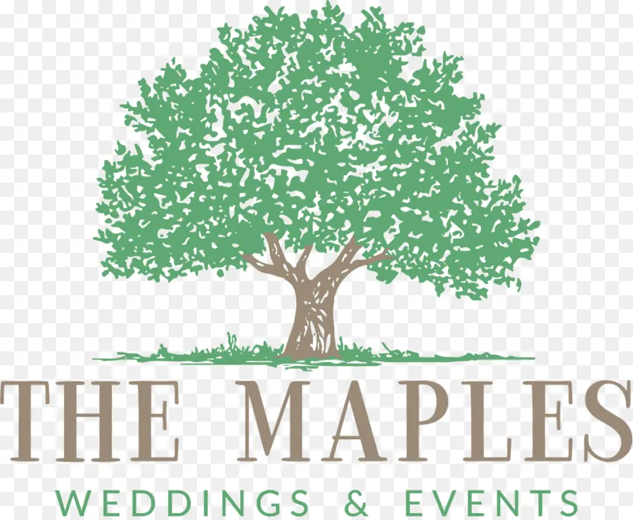 Maples，árvore PNG