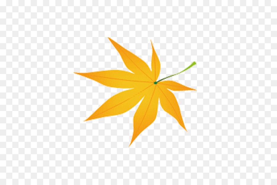 Maple Leaf，Desenho PNG