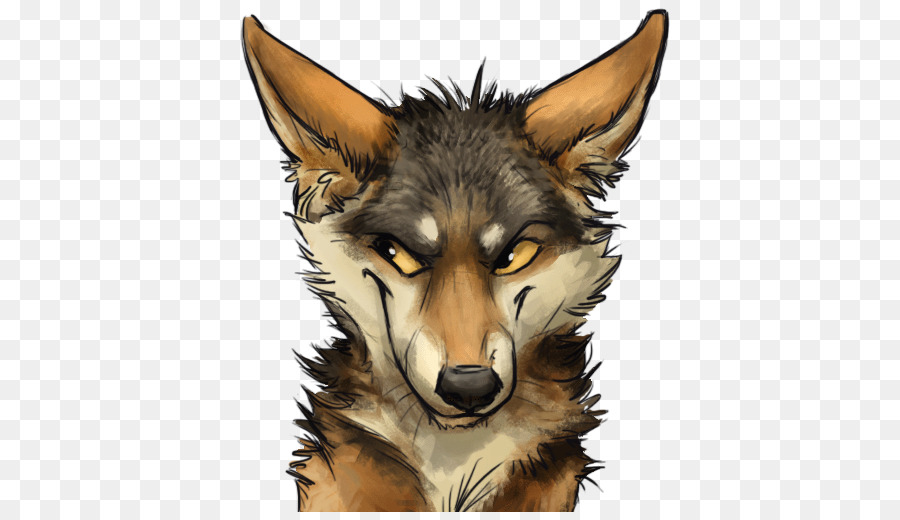 Coyote，Cachorro PNG