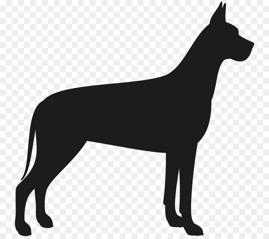 Lhama，Cachorro PNG