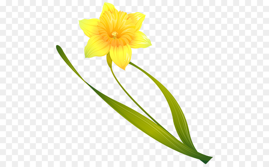 Narcisos Amarelos，Primavera PNG