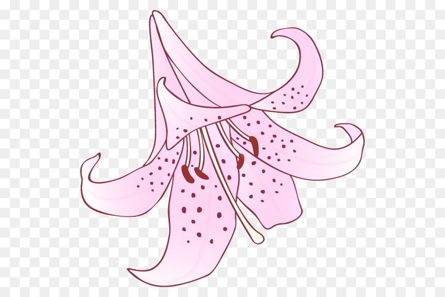 Cartoon，Flor PNG