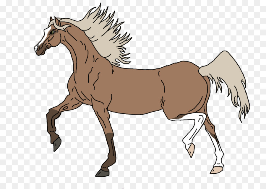 Cavalo Correndo，Animal PNG