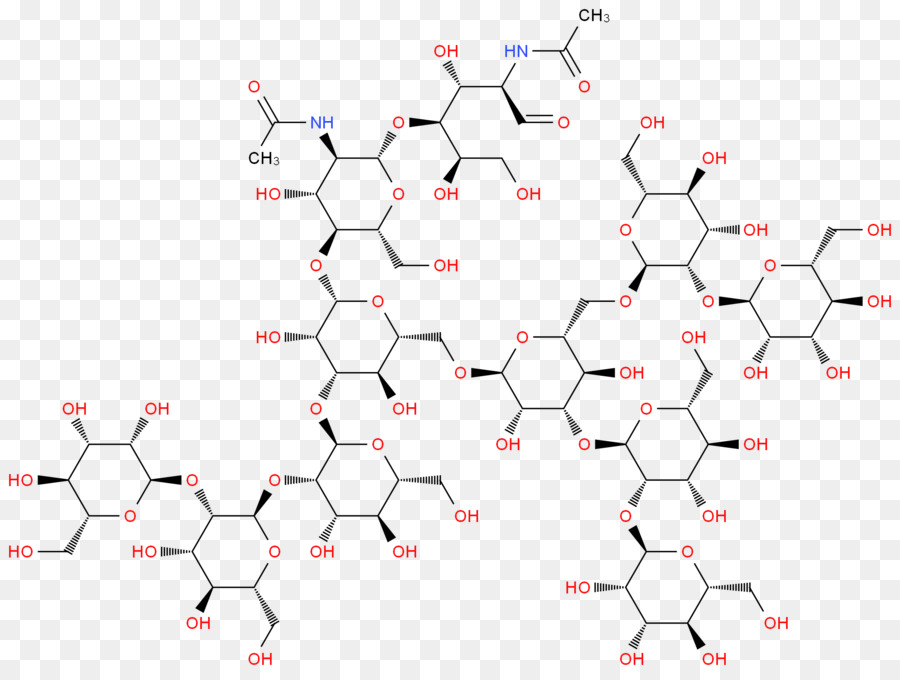Glicano，Nacetilglucosamina PNG