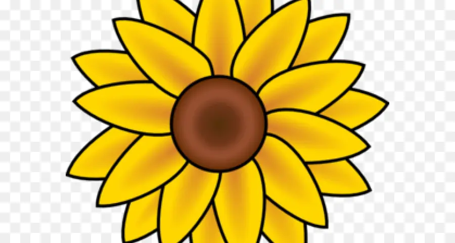 Girassol，Amarelo PNG