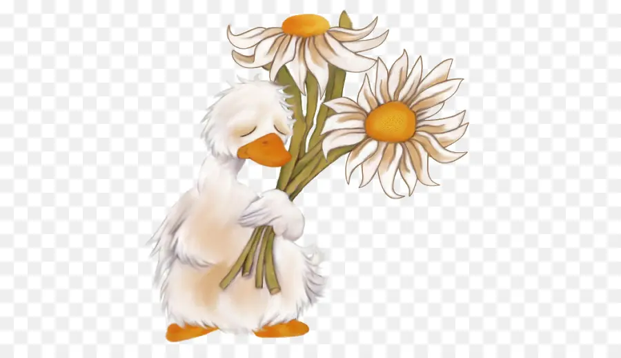 Pato Com Flores，Pato Branco PNG