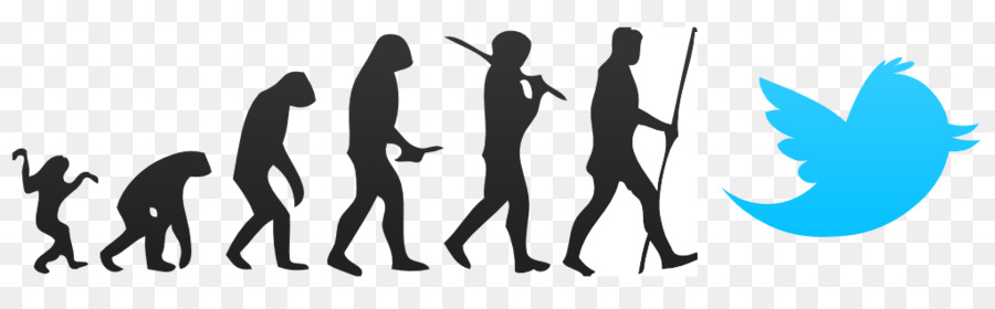 Evolução，Evolução Humana PNG