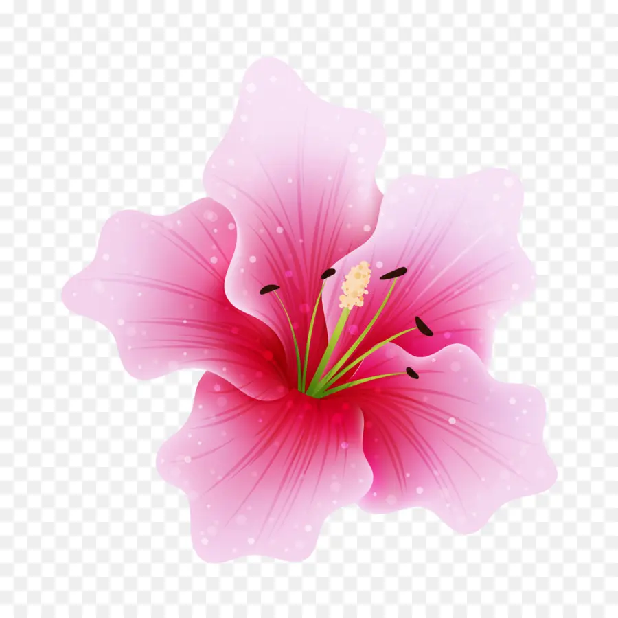 Flor Rosa，Pétalas PNG