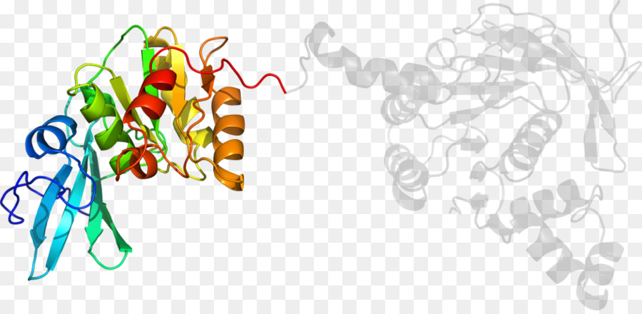 Estrutura Do Dna，Genética PNG