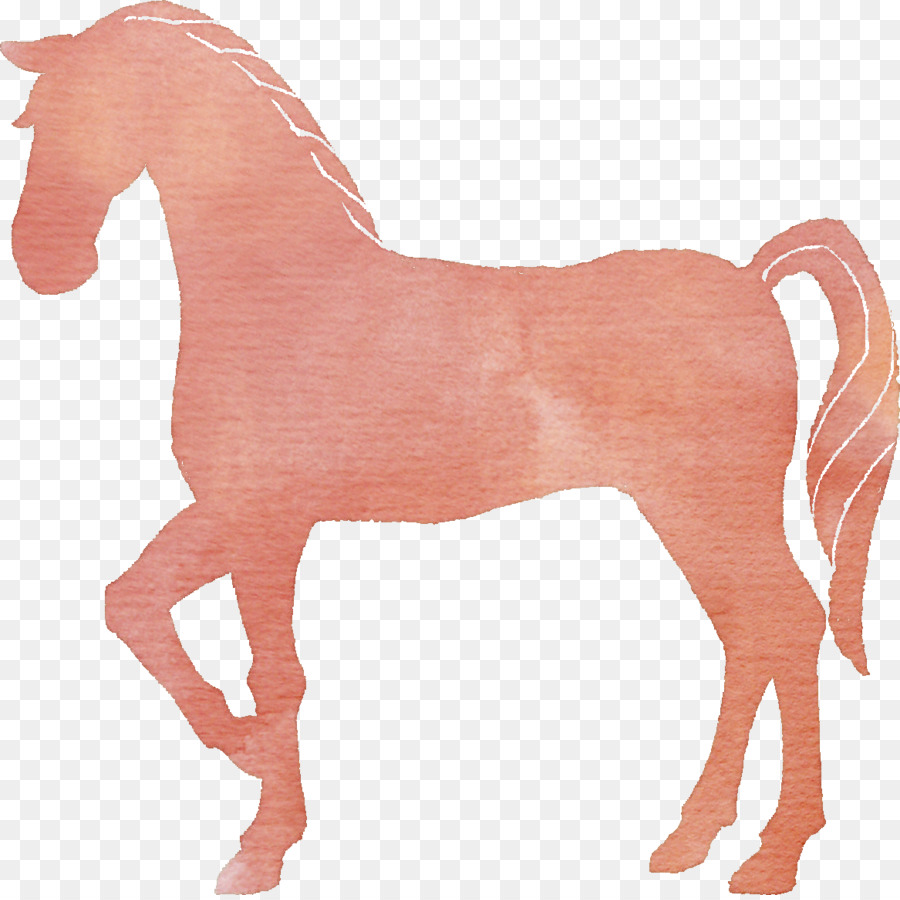 Cavalo，Equino PNG