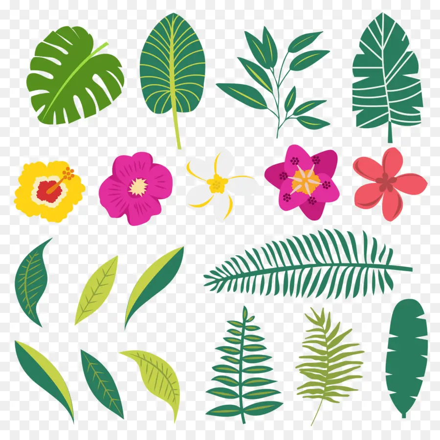 Folhas E Flores，Verde PNG