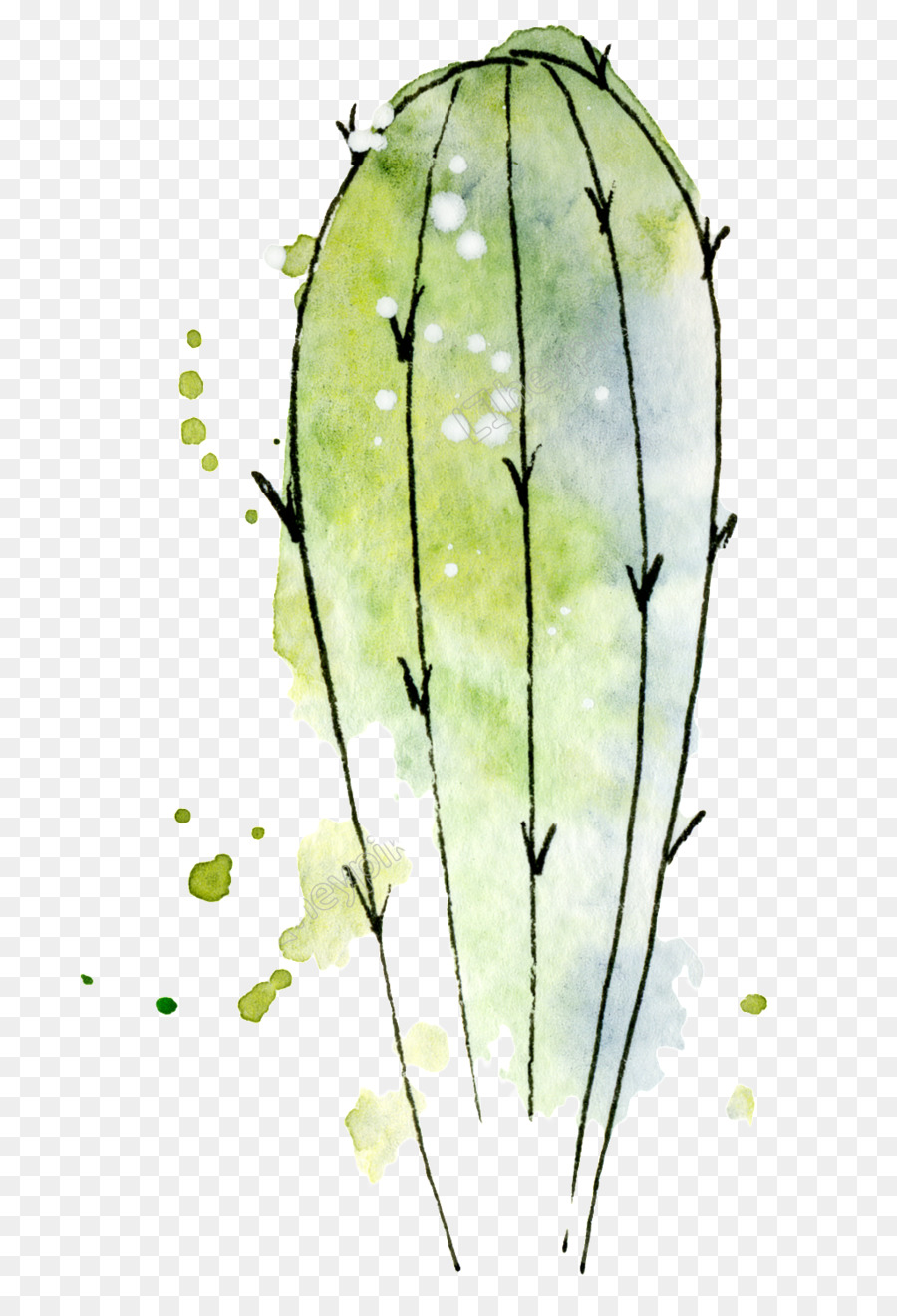 Cactus，Pintura Em Aquarela PNG