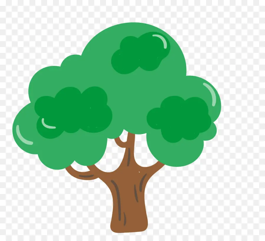 árvore，Broadleaved árvore PNG