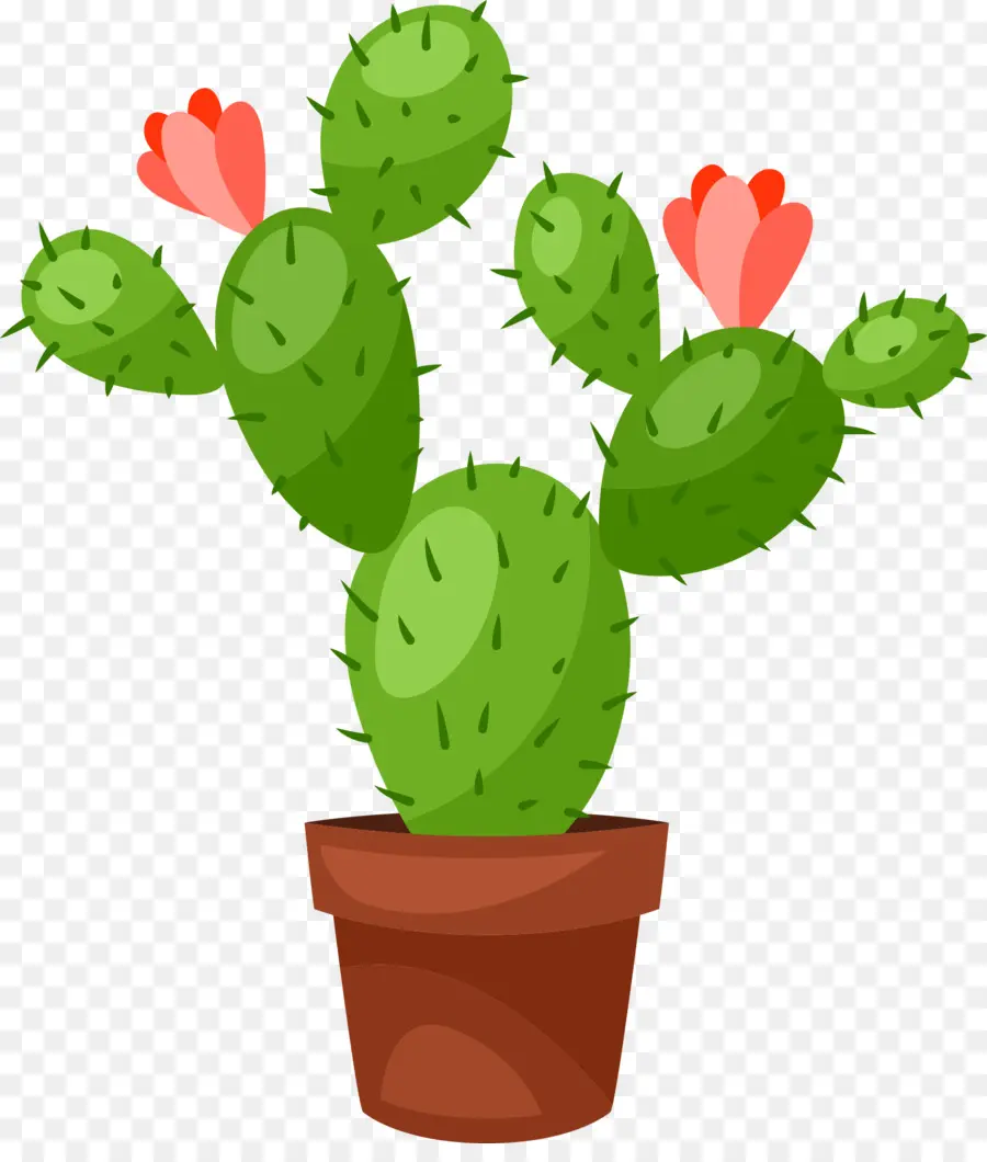 Cactus，Royaltyfree PNG