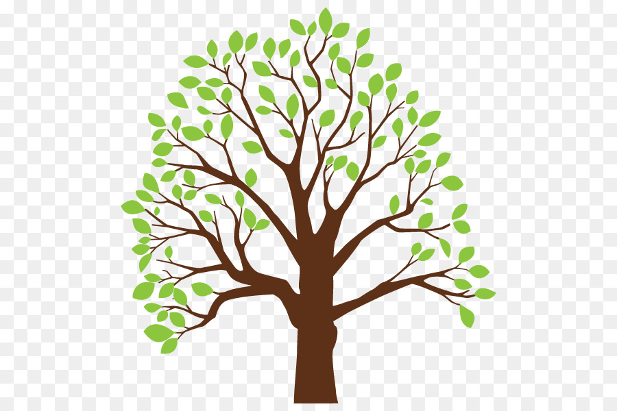 árvore，Broadleaved árvore PNG