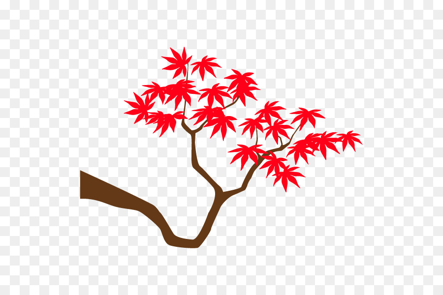 Maple Leaf，Folha PNG