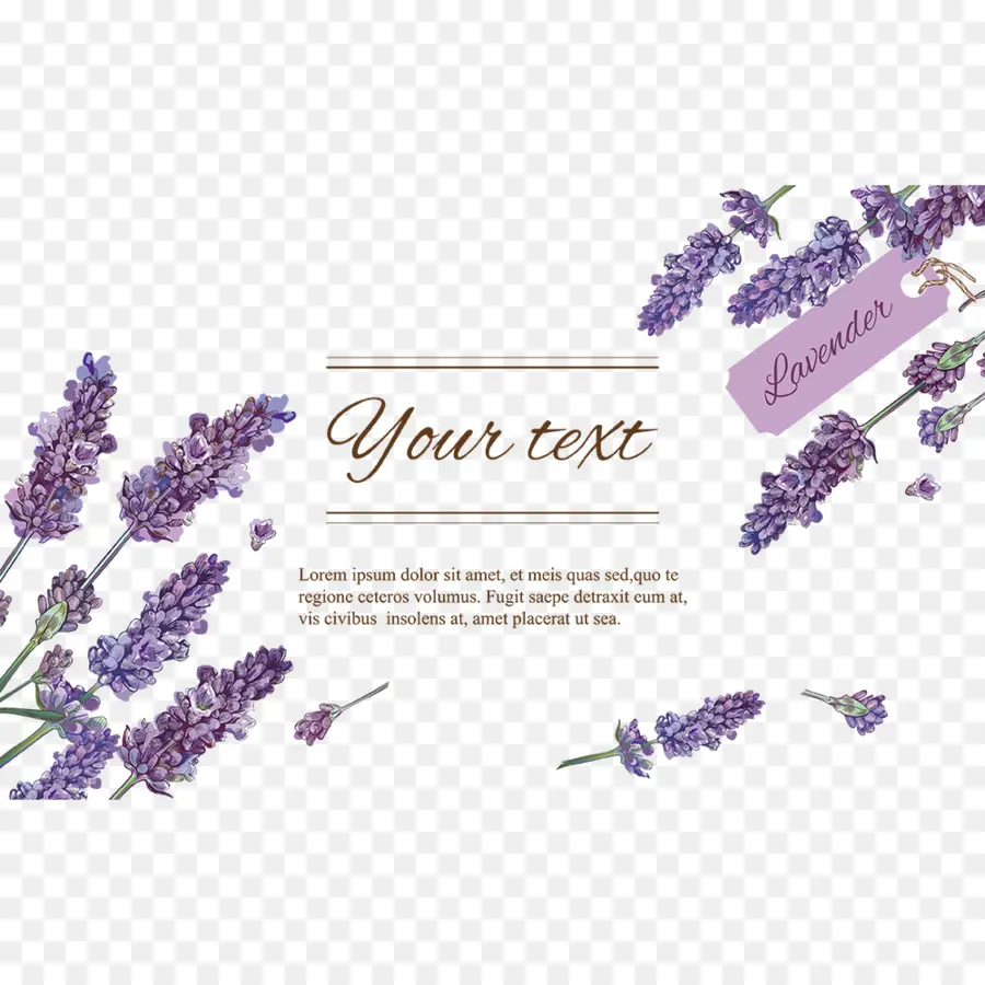 Flores De Lavanda，Roxo PNG