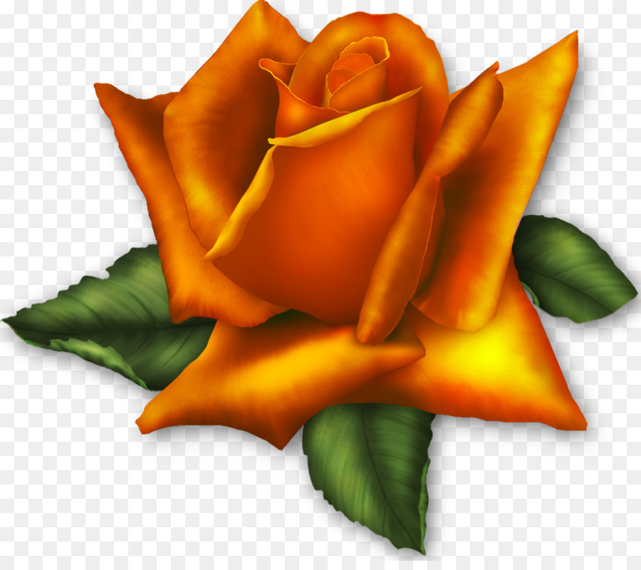 Rosa，Gif De Arte PNG