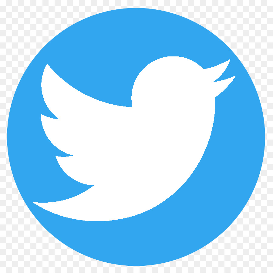 Logotipo Do Twitter，Pássaro PNG