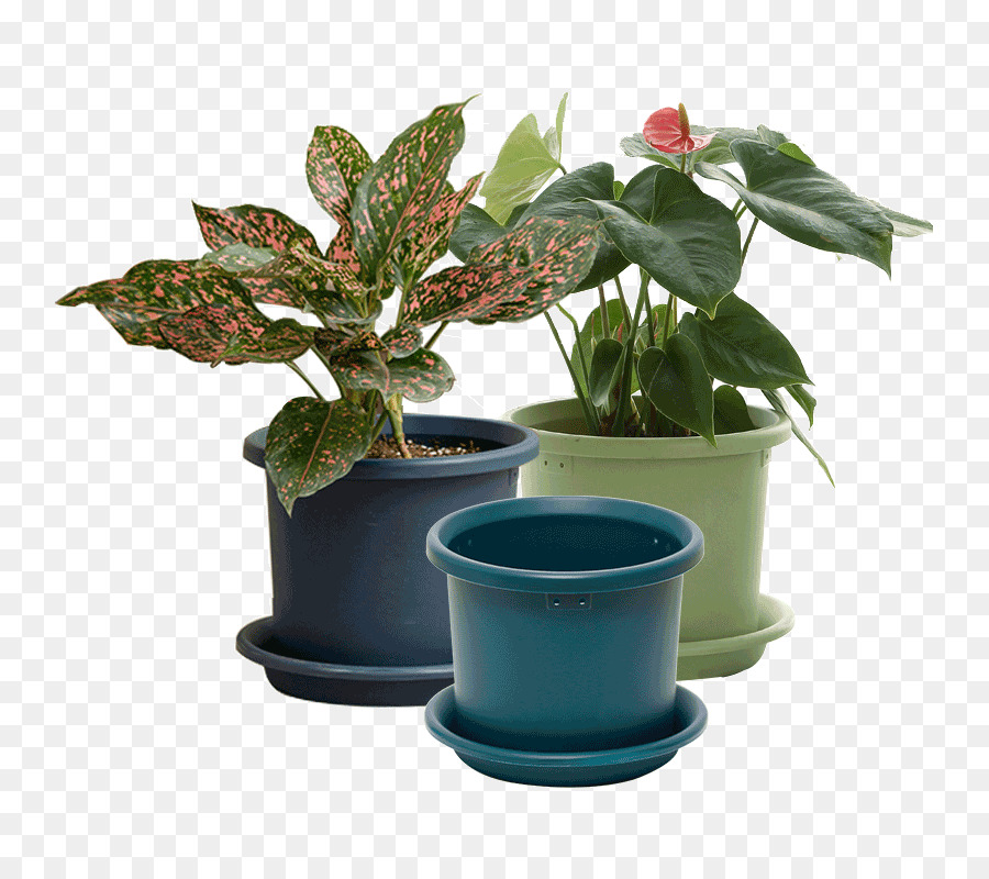 Flowerpot，Folha PNG