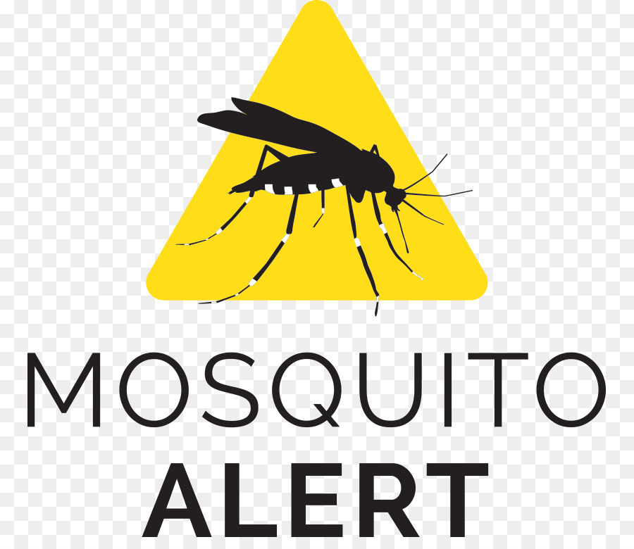 Logotipo Do Alerta De Mosquito，Aviso PNG