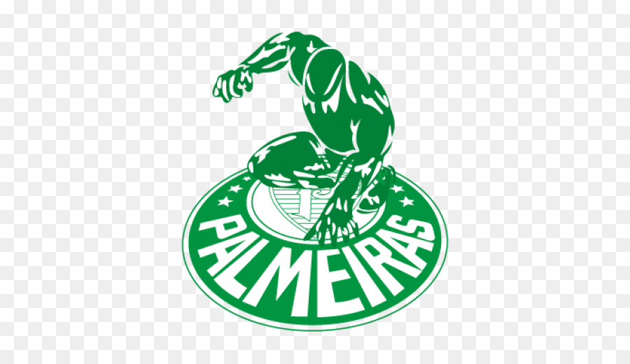 Sociedade Esportiva Palmeiras，Copa Libertadores PNG