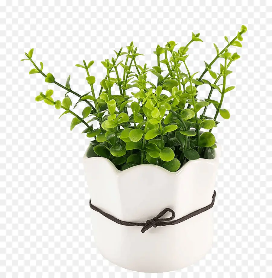 Flowerpot，Magnética De Levitação De Um Vaso De Planta Flutuante PNG