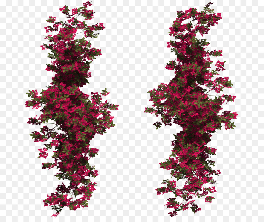 Vinhas De Flores，Rosa PNG