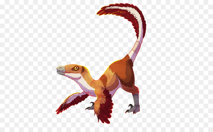 Velociraptor，Toronto Raptors PNG