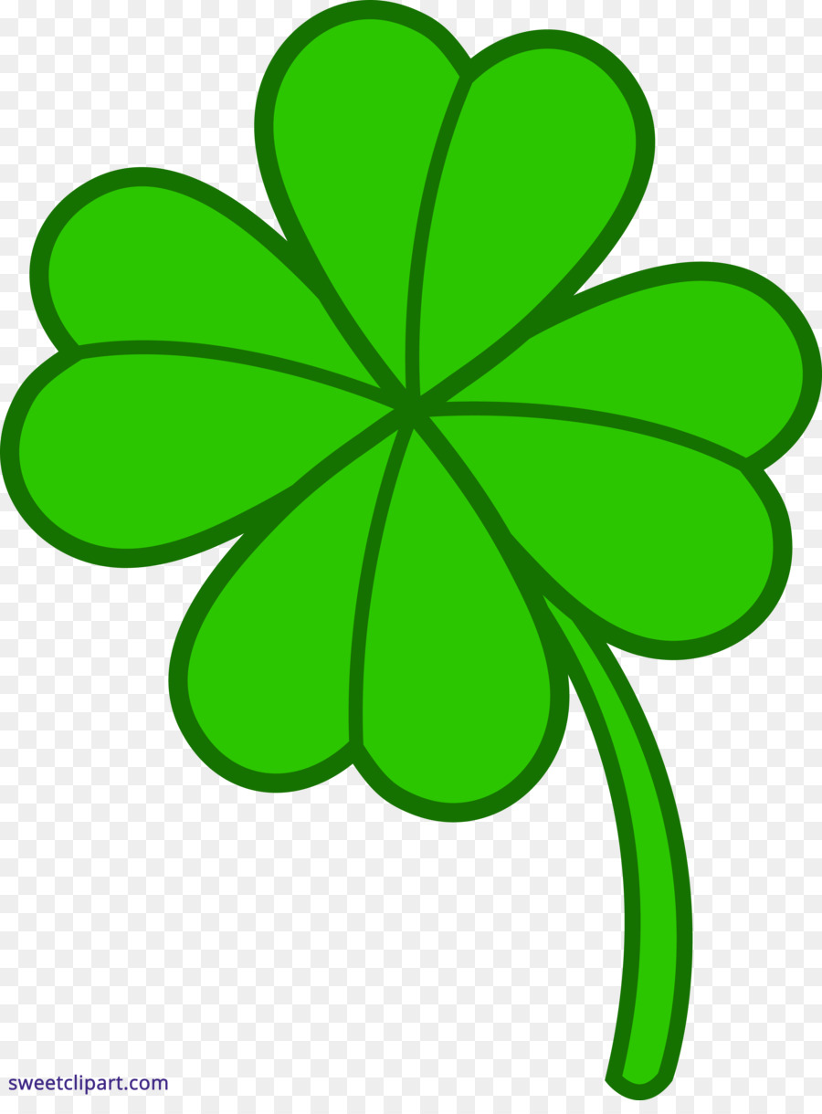 Fourleaf Trevo，Shamrock PNG