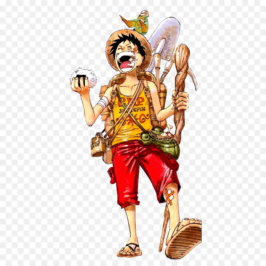 Vídeo，Monkey D Luffy PNG